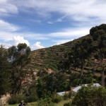 Terraços agrícolas na Isla del Sol