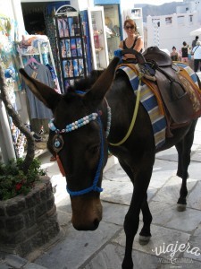 Burrico em Santorini