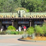 Animal Kingdom - Entrada do parque