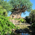 Animal Kingdom - Tree of Life