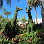 Busch Gardens - arte com os arbustos